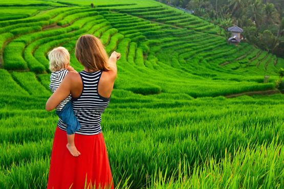 You'll be surrounded by lush rice terraces