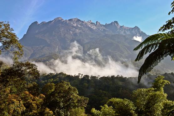 Imposing Mount Kinabalu dominates the horizon