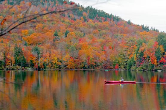 Take the opportunity to hike or canoe in the wilderness of Algonquin National Park