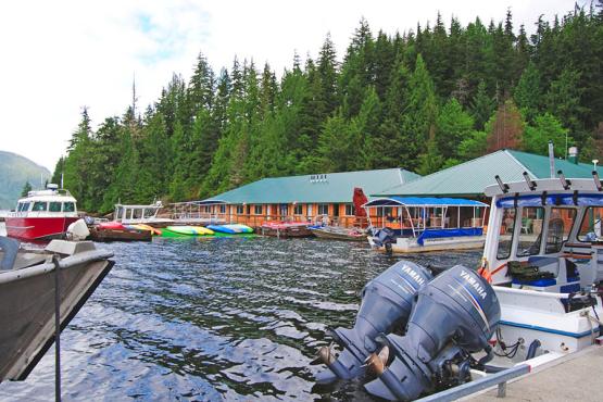 Head into the wilderness and stay at Knight Inlet Lodge
