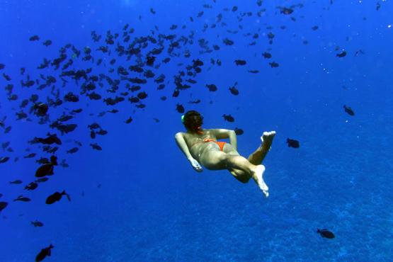 Fakarava is one of the world’s best diving destinations