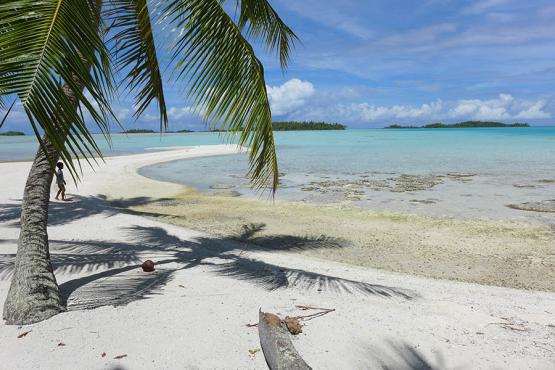 Explore countless white and pink sandy islets, coconut groves and hidden alcoves 