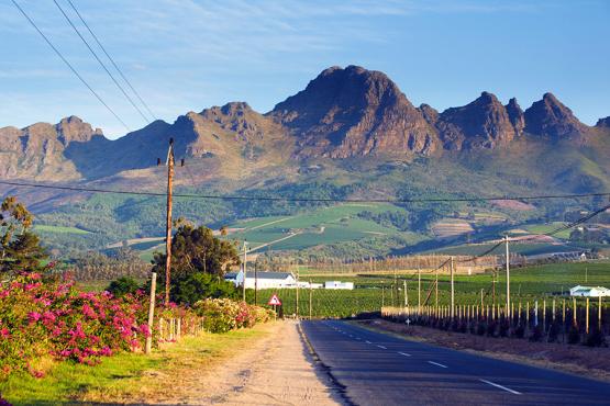 The winelands are only a short drive from Cape Town
