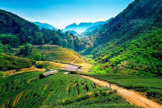 Travel by overnight train from Bangkok to Chiang Mai