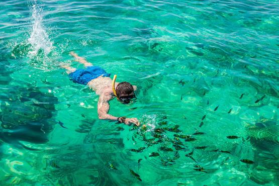 Discover the delights of the coral reef on a snorkelling trip
