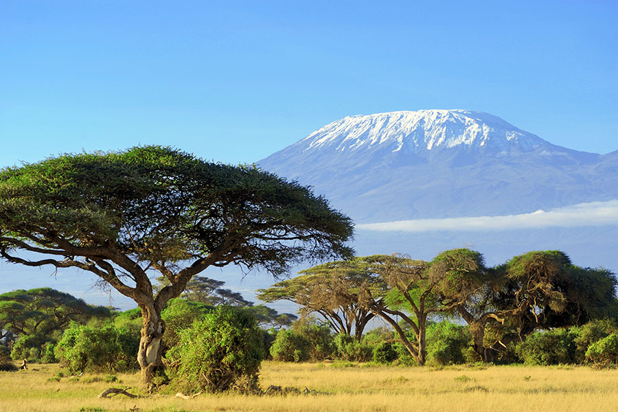 You have the opportunity to climb to Kilimanjaro base camp
