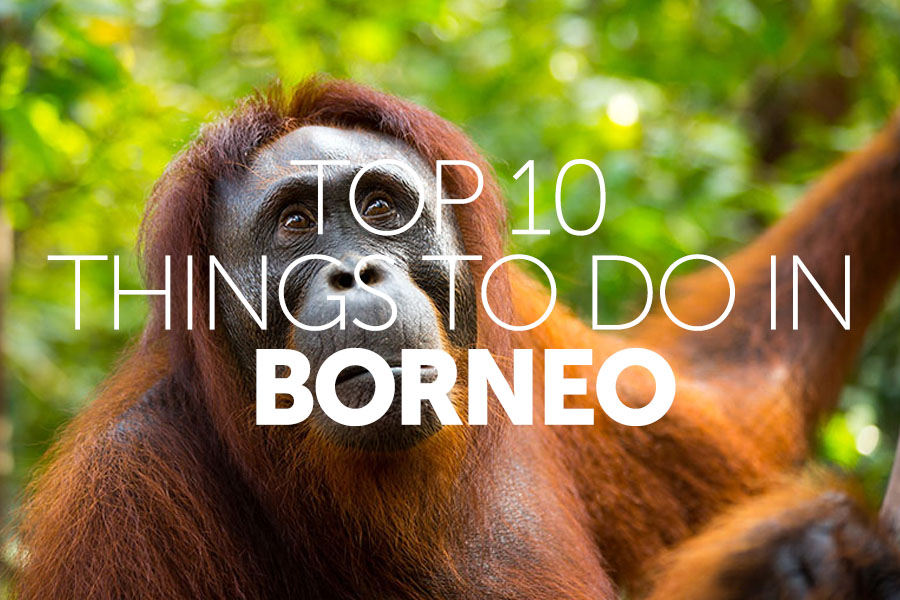 Top 10 things to do in | Borneo