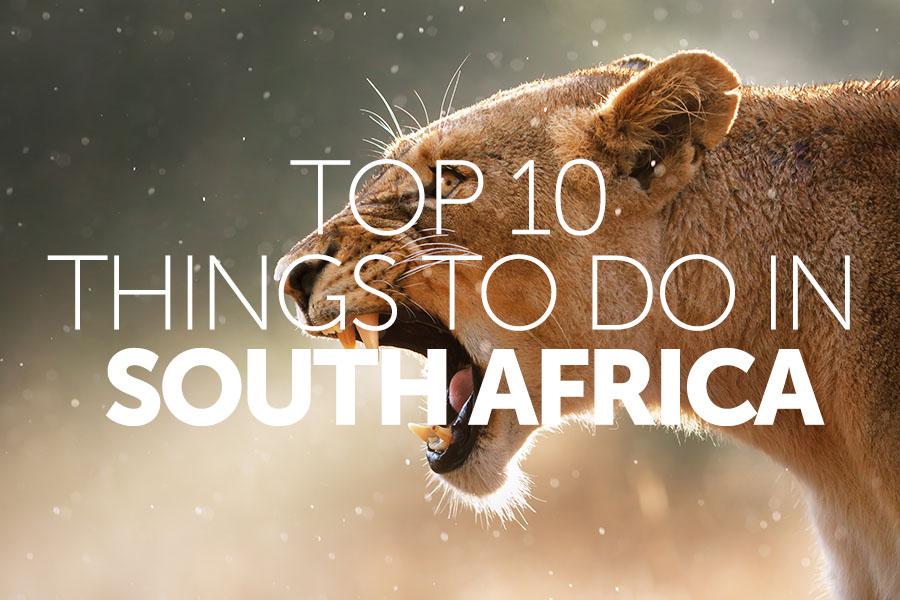 Top 10 things to do in South Africa