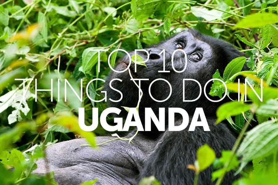 Top 10 things to do in | Uganda