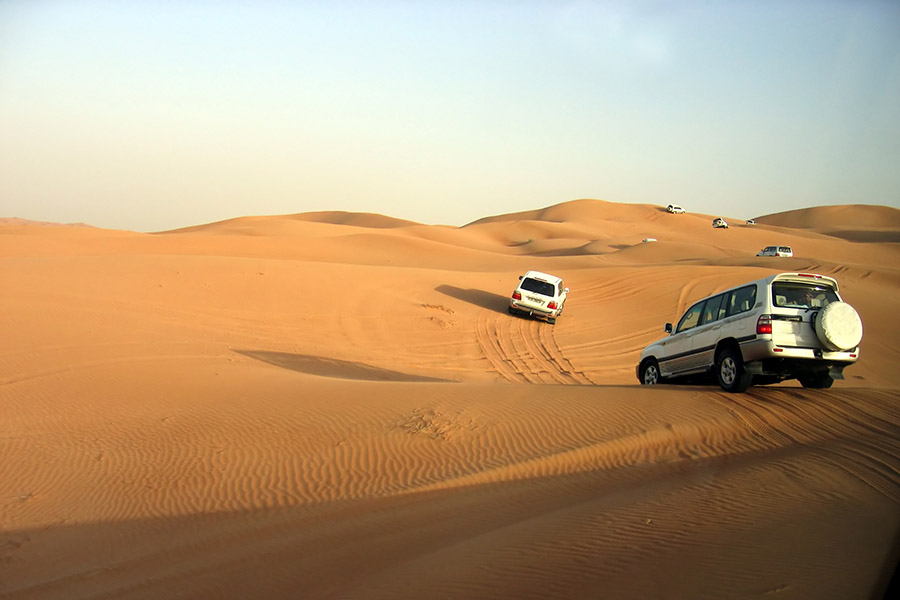 Take a 4WD trip out into the desert
