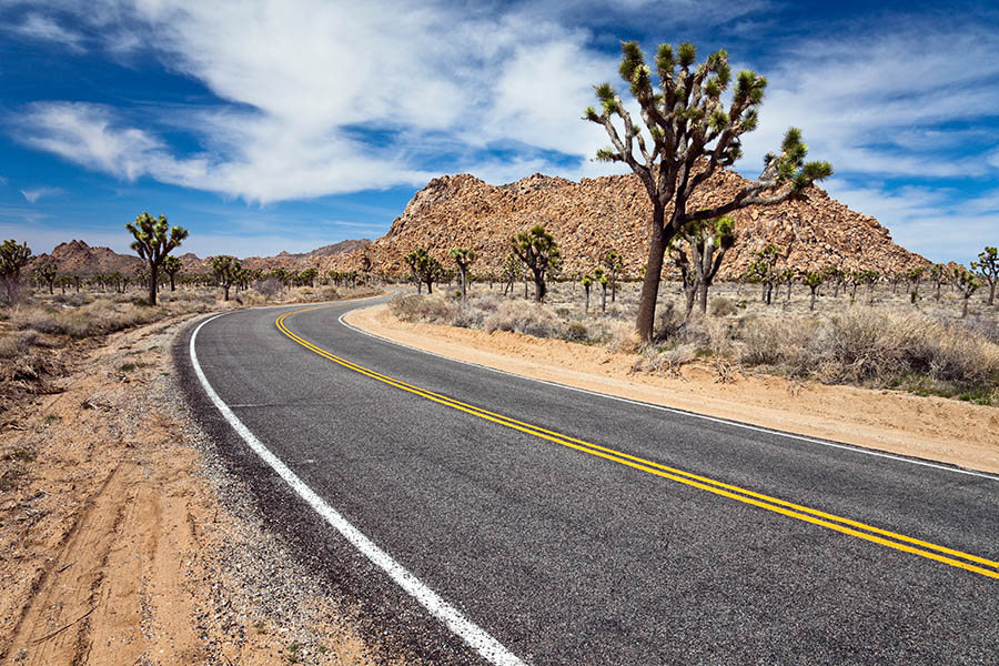 Joshua Tree National Park is just an hour’s drive from Palm Springs