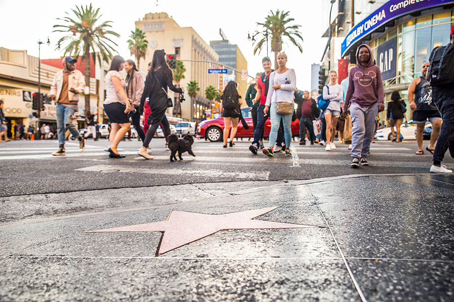 Head to Hollywood in search of your favourite stars on the Walk of Fame