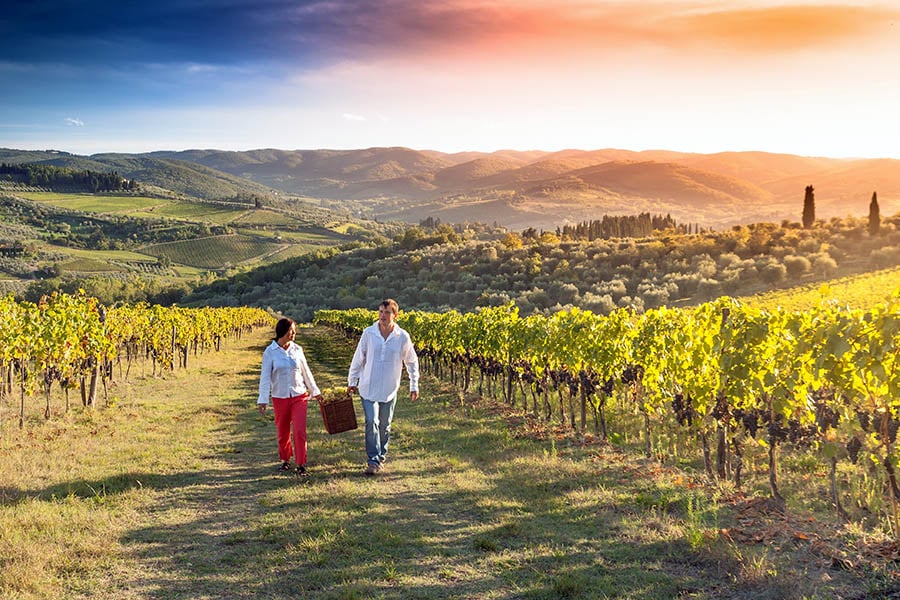 Spend 2 days exploring the vineyards of Napa Valley
