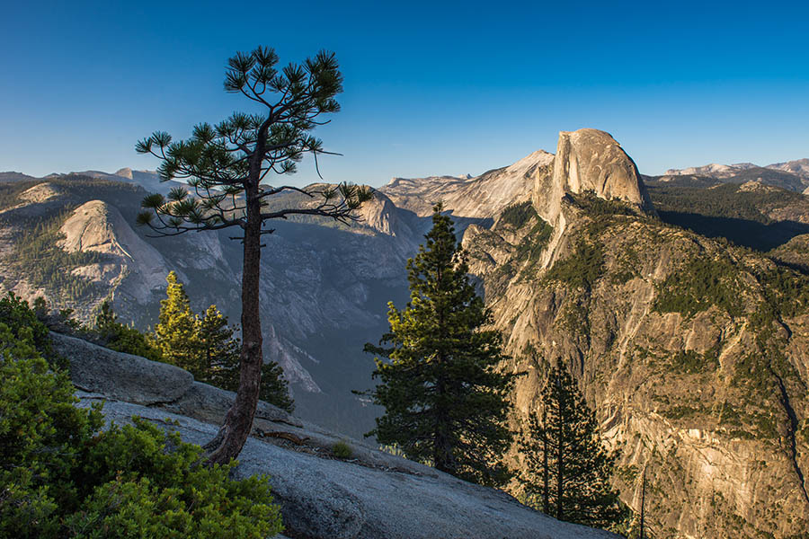 For the best views, drive to Glacier Point where you can take a wonderful photo with Half Dome in the background