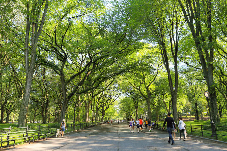 Central Park is a great afternoon out for all the family