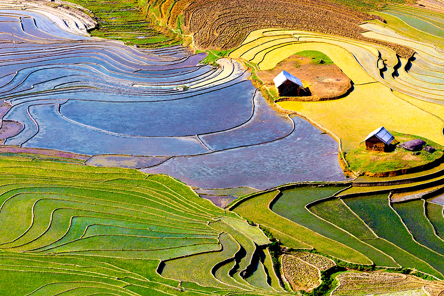 The ricefields of Lao Cai, Vietnam