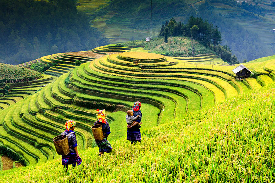 Discover the rolling hills and rice terraces of this region
